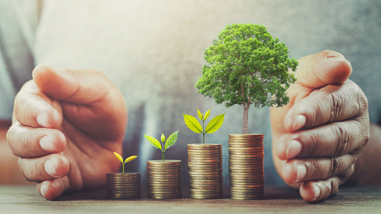 Family Office: Wealth Preservation Strategies